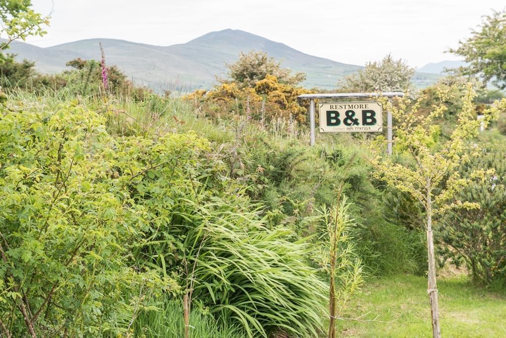 Restmore B&B Anascaul Exterior foto